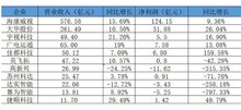 出入口安防巨頭2019年報(bào)：增速下滑