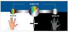 加速城市數(shù)字化！多模態(tài)手掌識別技術(shù)引領(lǐng)場景創(chuàng)新