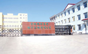 吉林糧食集團(tuán)伸縮門(mén)案例