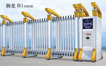 御龍B1單排-銀電動門