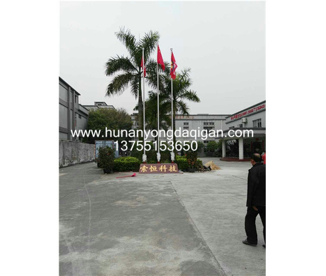 東莞厚街索恒科技有限公司旗桿案例 - 中出網(wǎng)-智能出入口門戶