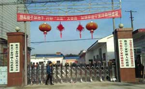 寧家坪鎮(zhèn)人民政府伸縮門(mén)案例