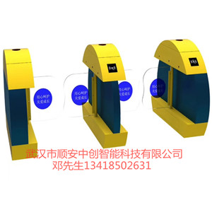 武漢幼兒園閘機手機推送智能門禁系統(tǒng)擺閘兒童樂園人行通道閘廠家