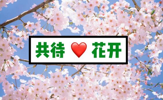 狄耐克