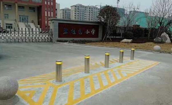 碧桂園小學(xué) - 中出網(wǎng)-智能出入口門(mén)戶(hù)