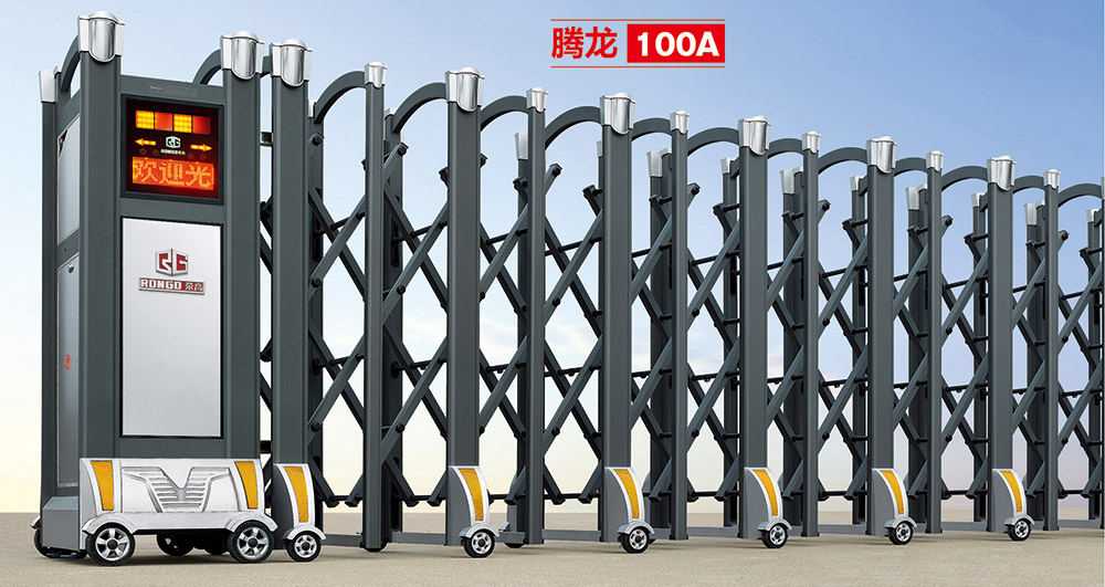 騰龍100A