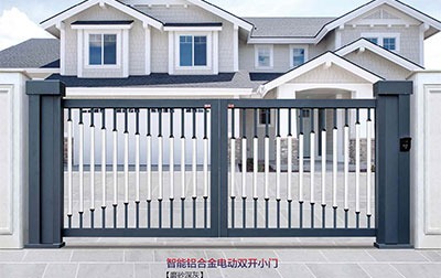 其他 - 智能鋁合金電動(dòng)雙開小門 SK-02GY