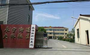 永寧街道大橋社區(qū)電動(dòng)伸縮門(mén)工程 - 中出網(wǎng)-智能出入口門(mén)戶