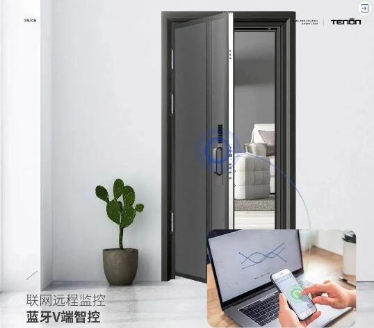 《2021天能智能門(mén)電子畫(huà)冊(cè)》系列產(chǎn)品